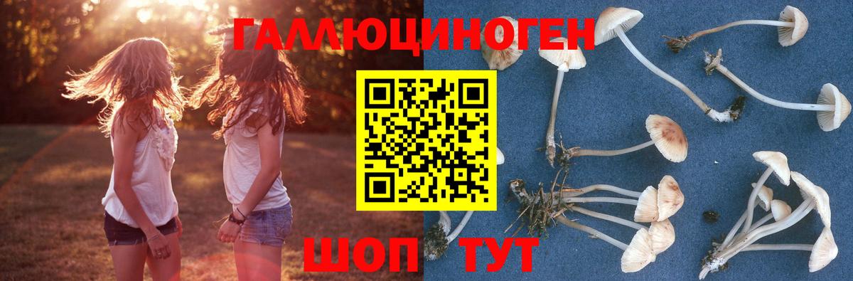 Галлюциногенные грибы Magic Shrooms  Вход с VPN  Белгород 
