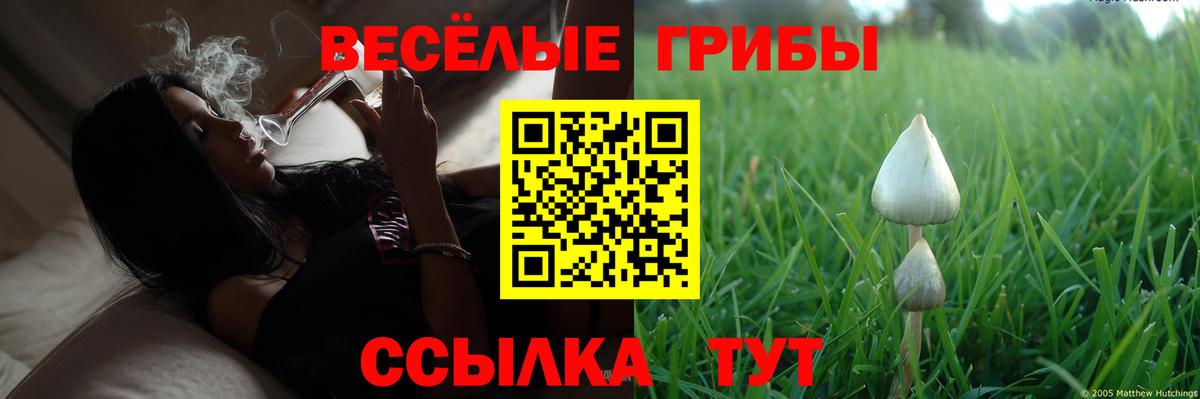 Галлюциногенные грибы мухоморы Белгород